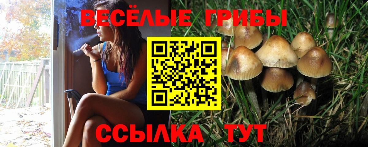 Галлюциногенные грибы мухоморы  Вход с VPN  Псилоцибиновые грибы GOLDEN TEACHER  Кинель 