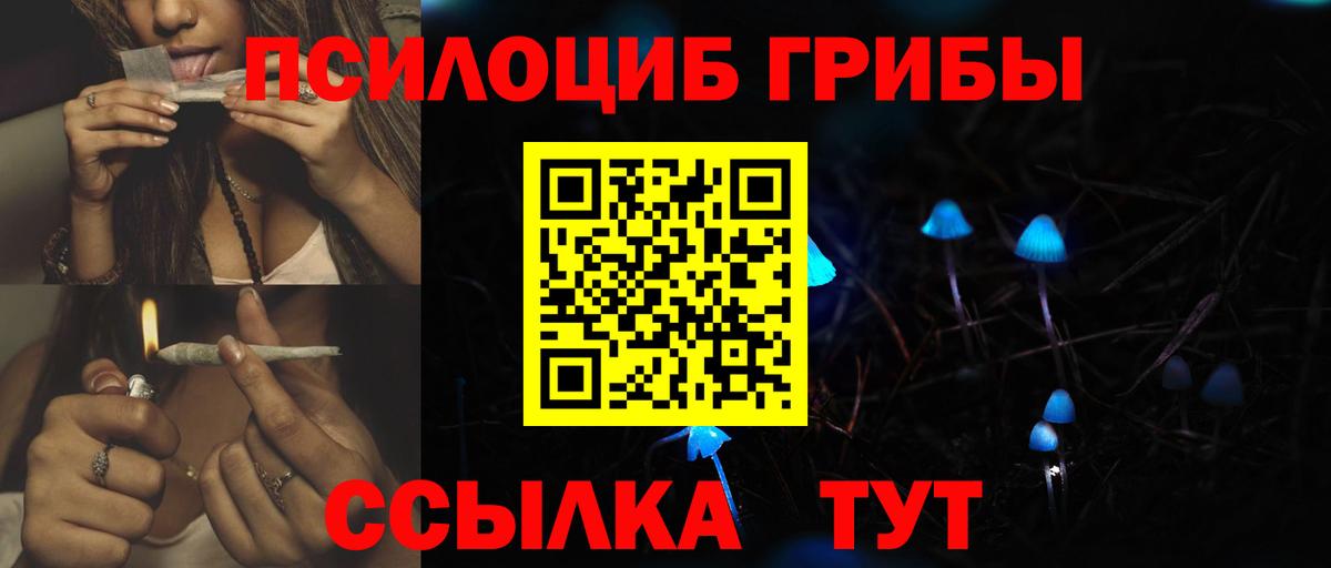 Галлюциногенные грибы прущие грибы Кинель