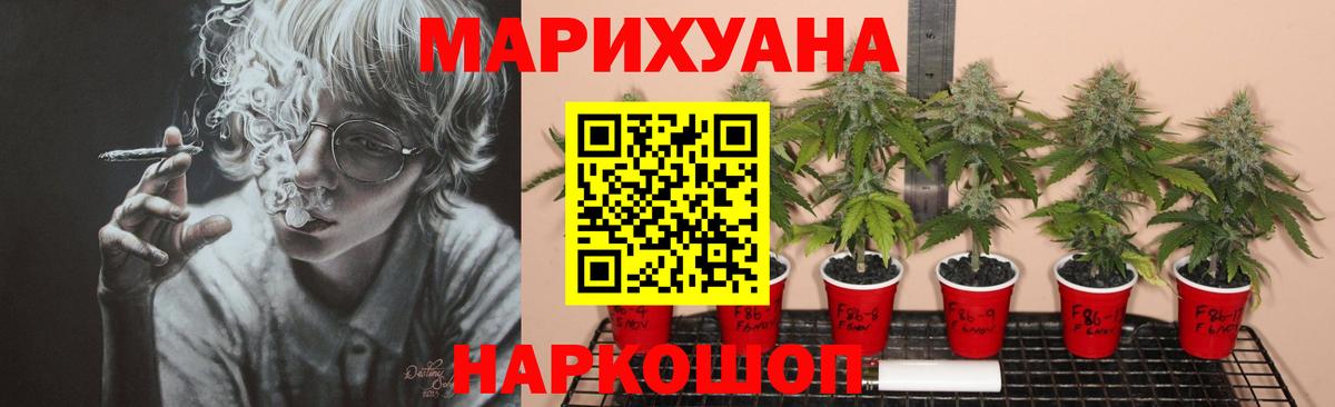 Кинель  МАРИХУАНА конопля  Марихуана гибрид  Вход с VPN  Каннабис марихуана  Канабис сатива 